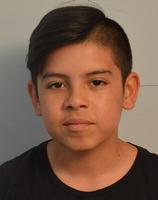 Max Vasquez